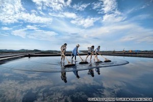 Jeungdo Salt Farm (전남 신안 증도 염전) 