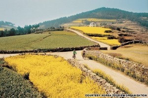 Cheongsando (청산도)