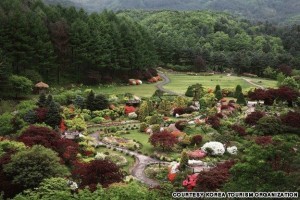 The Garden of Morning Calm (아침고요수목원) 