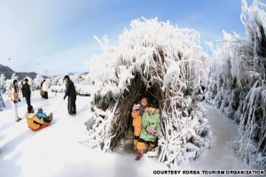 Inje Smelts Festival (인제 빙어축제)