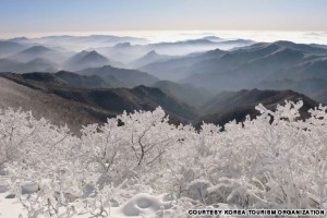 Snow in Taebaek Mountain (태백산 설경)