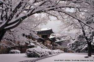  Bulguksa Temple (경주 불국사)