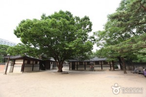 Unhyeongung Palace 5