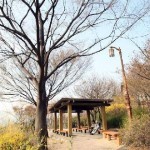 Parcul Naksan din Seoul