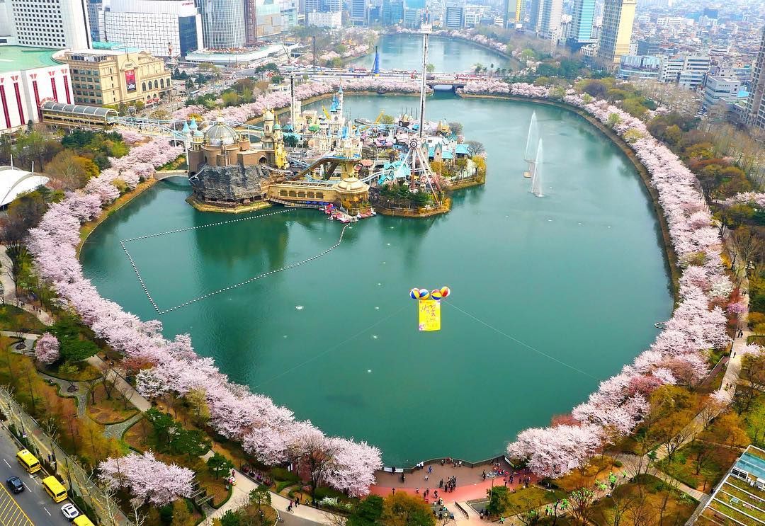 Seokchon Lake Park, un parc popular din Seul, se închide din cuaza temerilor de răspândire a coronavirusului